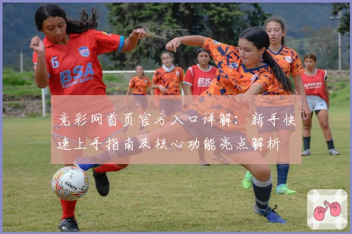 竞彩网首页官方入口详解:新手快速上手指南及核心功能亮点解析